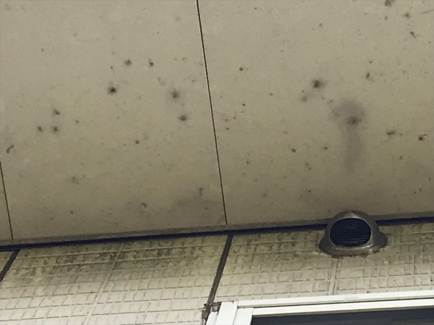 軒天井 カビ