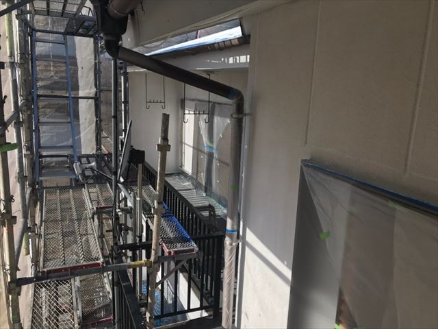 養生です