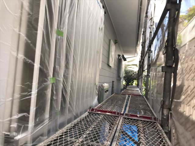 養生です