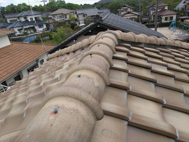 瓦の補修
