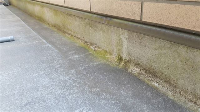 瑞浪市日吉町にて外壁塗装の現場調査です。