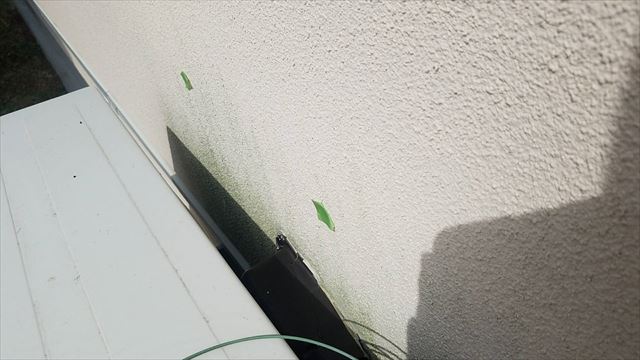 外壁のカビ