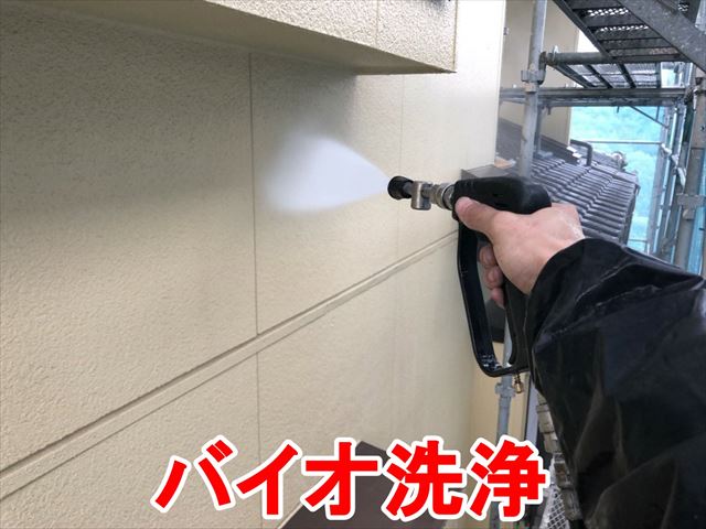 バイオ洗浄