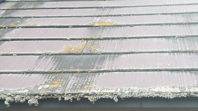 中津川市日蛭川にて屋根、外壁塗装の下見です。