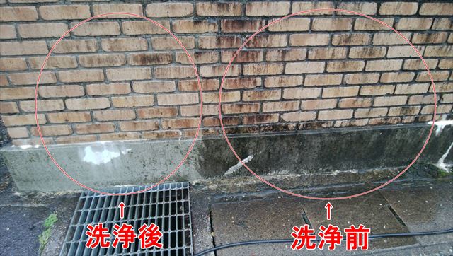 塀 バイオ洗浄