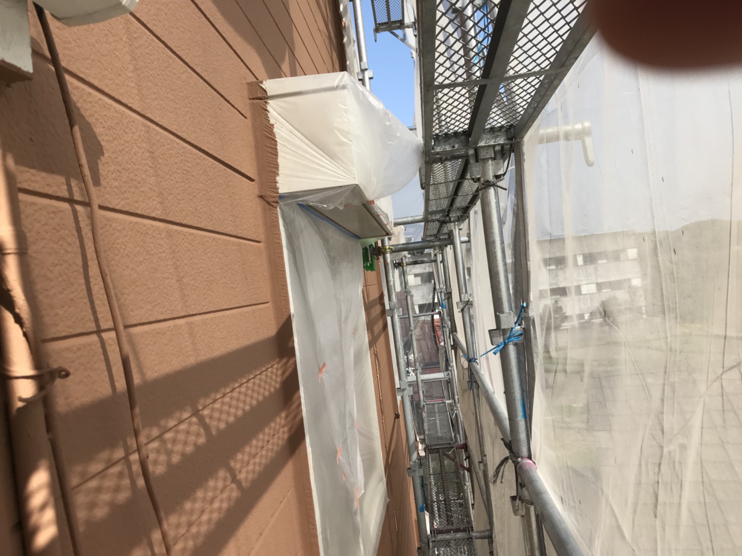多治見市養生外し