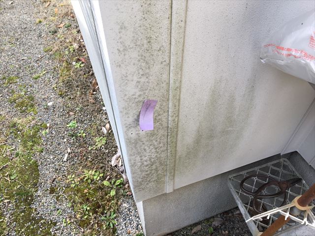 外壁にカビが発生してます