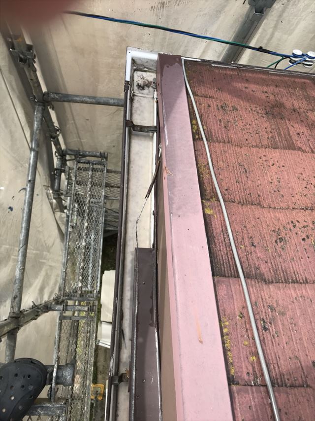 屋根の洗浄です