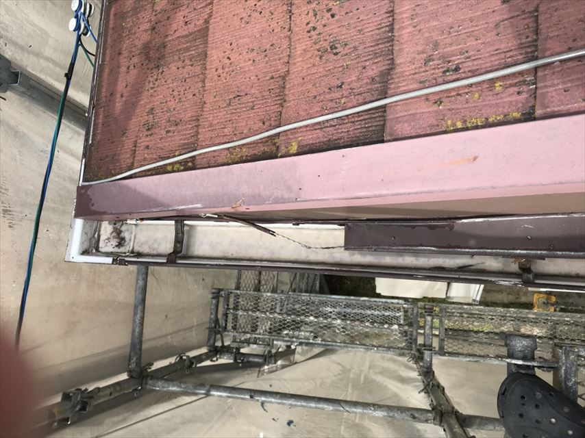 多治見市希望ヶ丘屋根苔