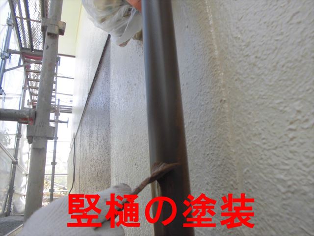 竪樋の塗装