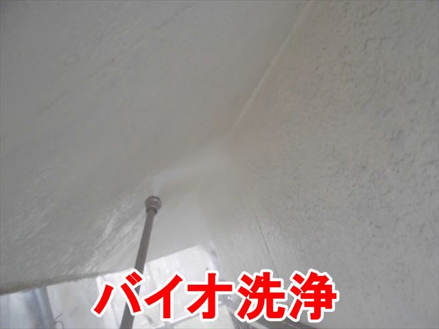 バイオ洗浄
