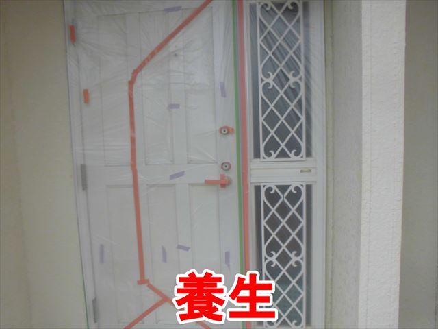 養生