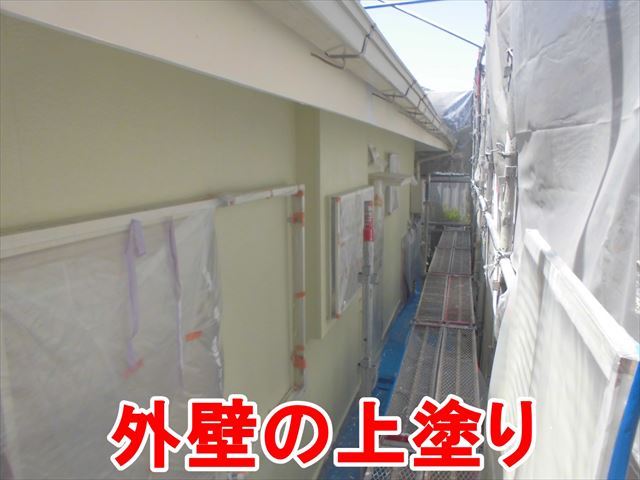 外壁の上塗り