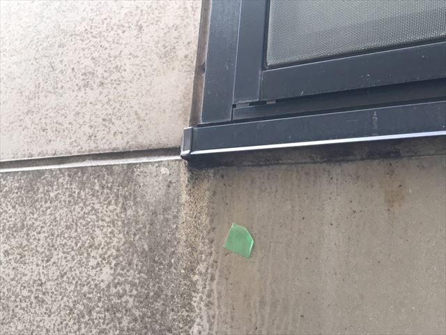 外壁にカビが大量に発生