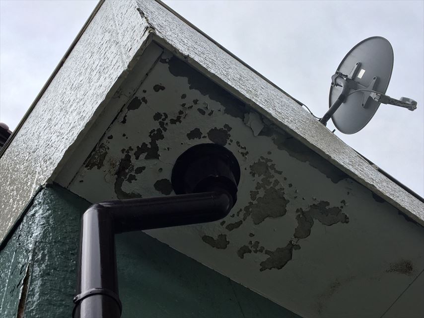 ベランダ下 集水器周り