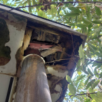 軒天の剥がれの原因と対処法｜放置リスクと長持ちメンテのコツをわかりやすく解説