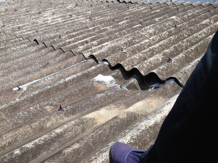 波板スレートのメンテナンスが必要なサイン