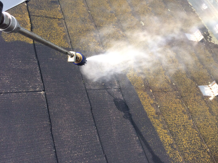 屋根の苔の除去を考える方へ｜苔が生える原因と注意点まとめ