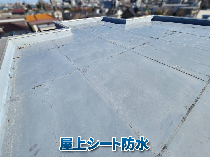 屋上シート防水の基礎知識｜採用される理由とメンテナンスのポイント