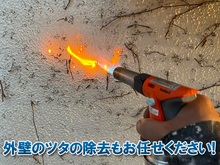 外壁のツタの除去も街の外壁塗装やさんにお任せください！