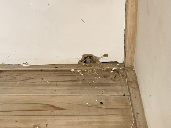 天井裏に何かいる？物音の原因と対策を解説