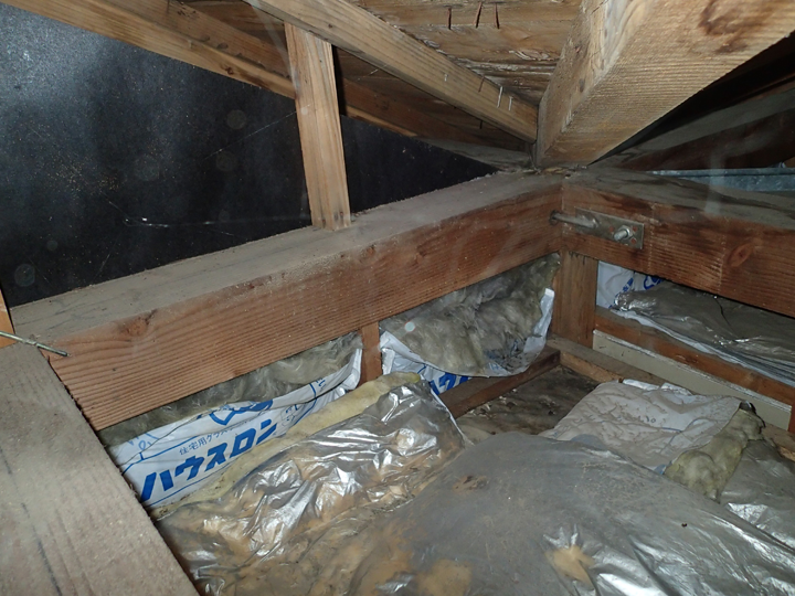 天井裏・屋根裏の様子
