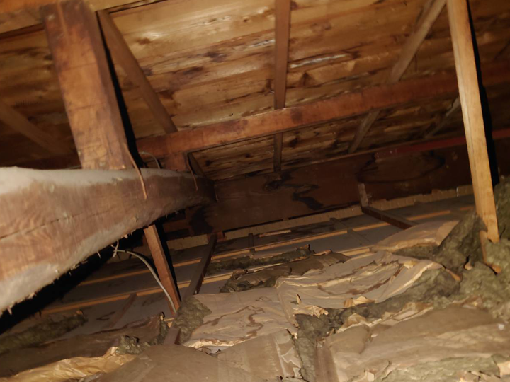 屋根の雨漏りの原因と対処法｜見逃しやすいサインと注意点を解説