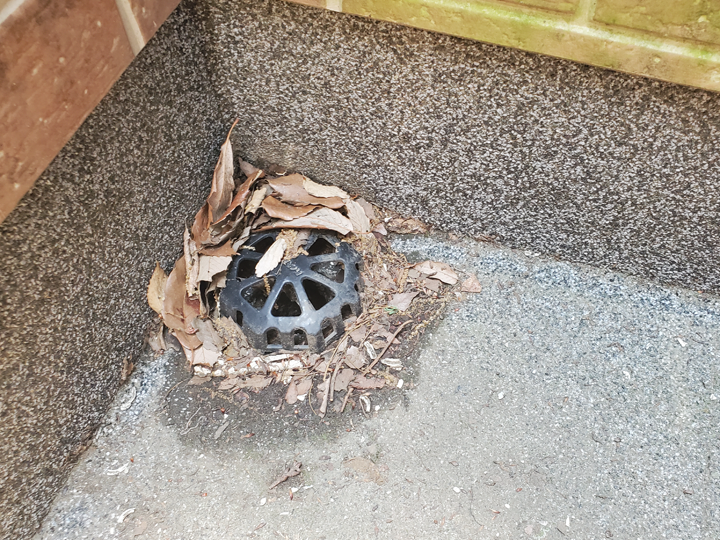 排水口の詰まりは思わぬ雨漏りに繋がる可能性が！