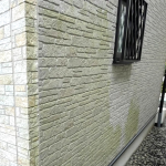 サイディングの苔の原因とは？外壁の劣化サインと対策を解説