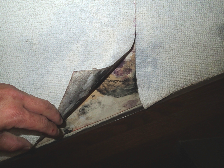 外壁に出来たクラックから雨水が浸入し、雨漏りに繋がることも…