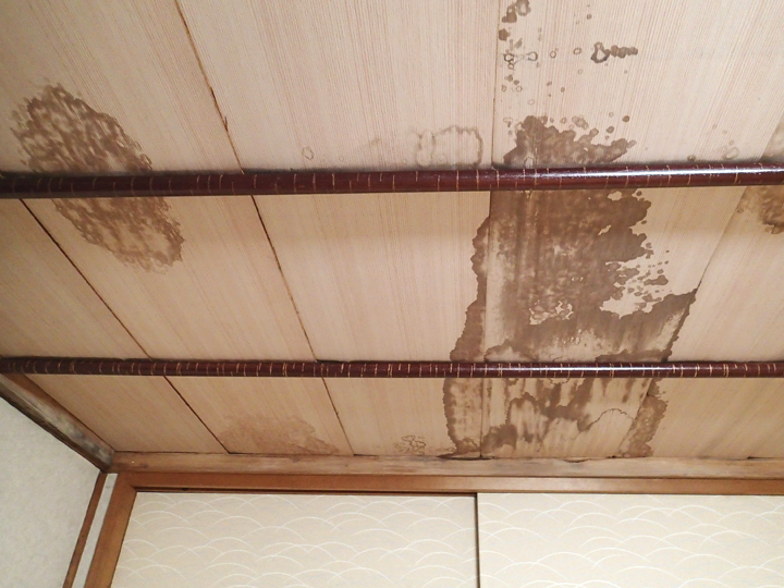 天井からの雨漏りの原因とは？応急処置と予防策を徹底解説