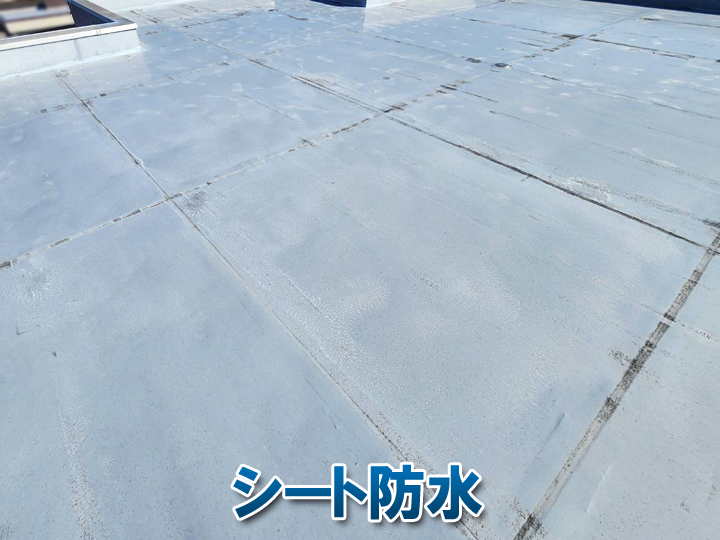 陸屋根のシート防水とは？種類・劣化原因・メンテナンスを徹底解説
