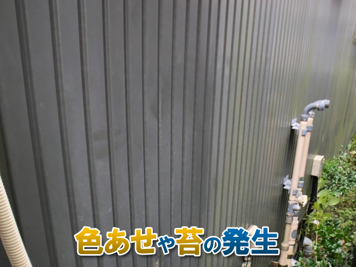 色あせや苔の発生が見られたらメンテナンスが必要なサインです！