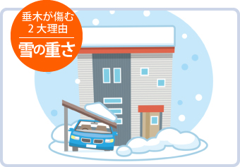 垂木が傷む原因：積雪