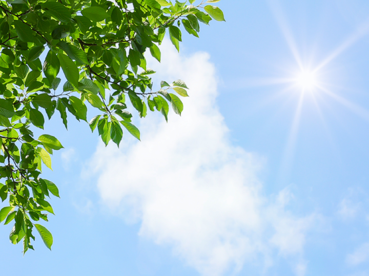 外壁塗装は夏でも大丈夫？暑い時期のメリット・注意点・おすすめ塗料を解説