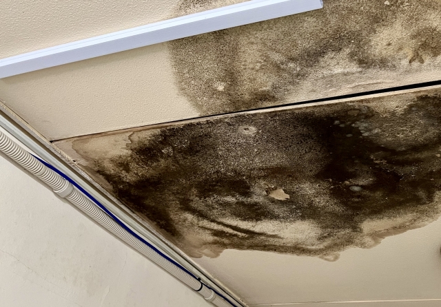 軒天の石膏ボードが劣化すると、シミやたわみが発生するようになる