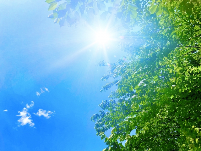 真夏のイメージ