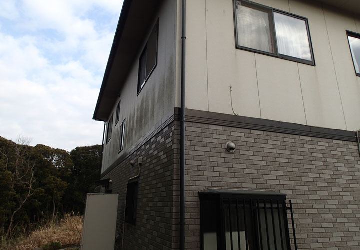 コケの発生しやすいお家にお住まいの方からのご相談｜富津市