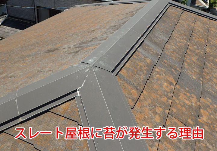 スレート屋根に苔が発生する理由｜塗膜の劣化が及ぼす悪影響とは？