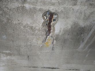 コンクリート外壁で発生しやすいクラックと爆裂｜袖ヶ浦市