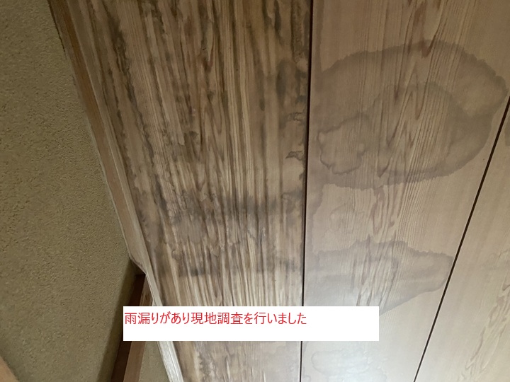 現場調査の様子