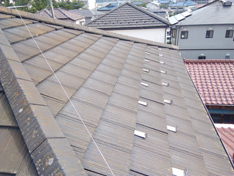 全体に苔が繁殖したセメント瓦屋根