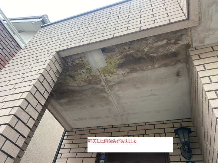 現地調査で判明した被害状況