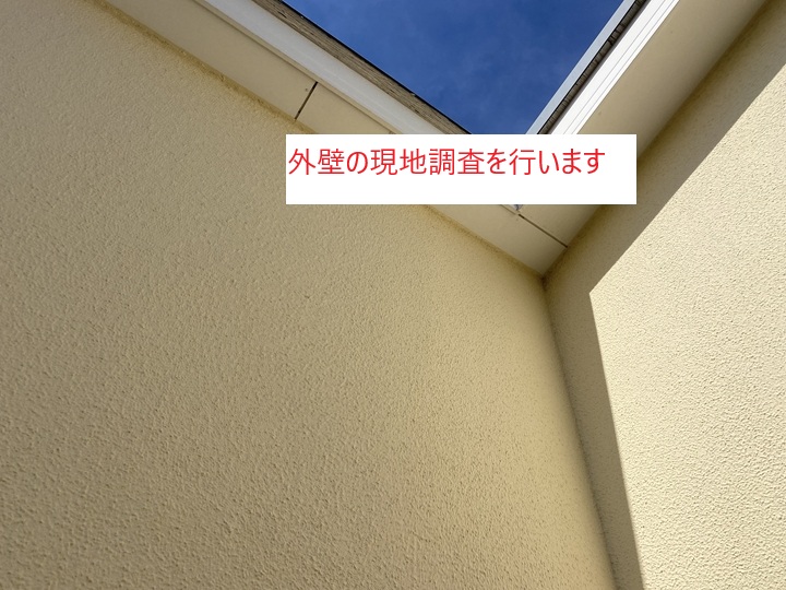 外壁全体の現地調査