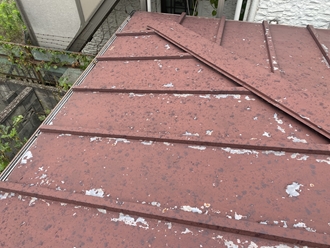 市川市市川にて雹による被害調査、屋根塗装工事をご提案させていただきました