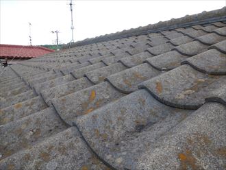 木更津市 屋根調査の状況