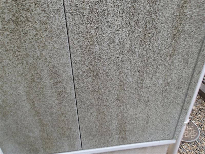 君津市郡 苔の発生 北側