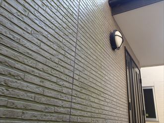 四街道市下志津新田　スギ苔の発生