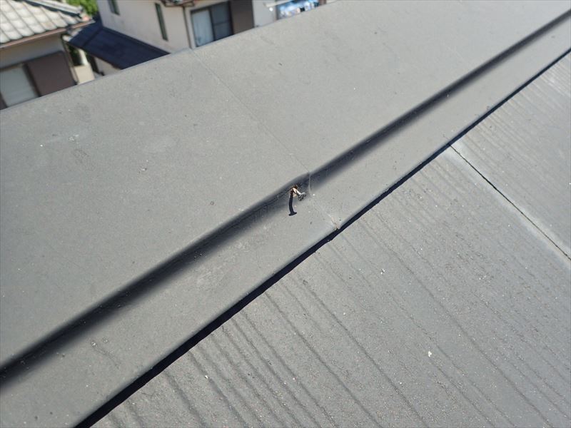 袖ケ浦市 棟板金の釘浮き