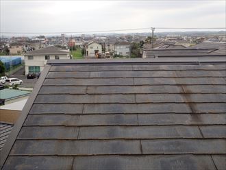 君津市 塗膜の色褪せ